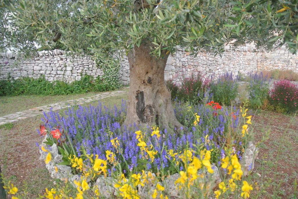 Holiday home Trulli Paparale *